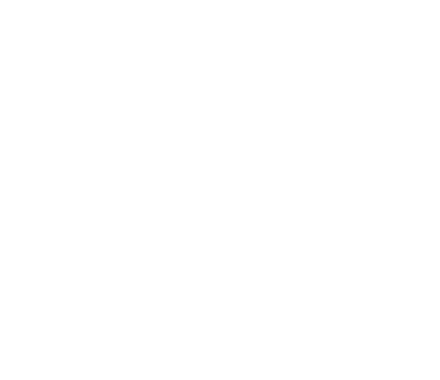 Ace logo