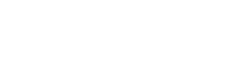Lions Trading logo